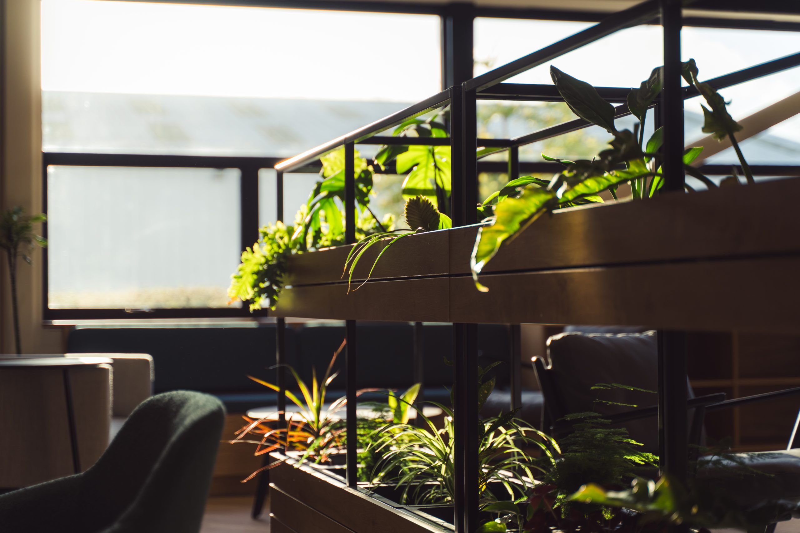 Bringing nature inside with plants and other natural elements