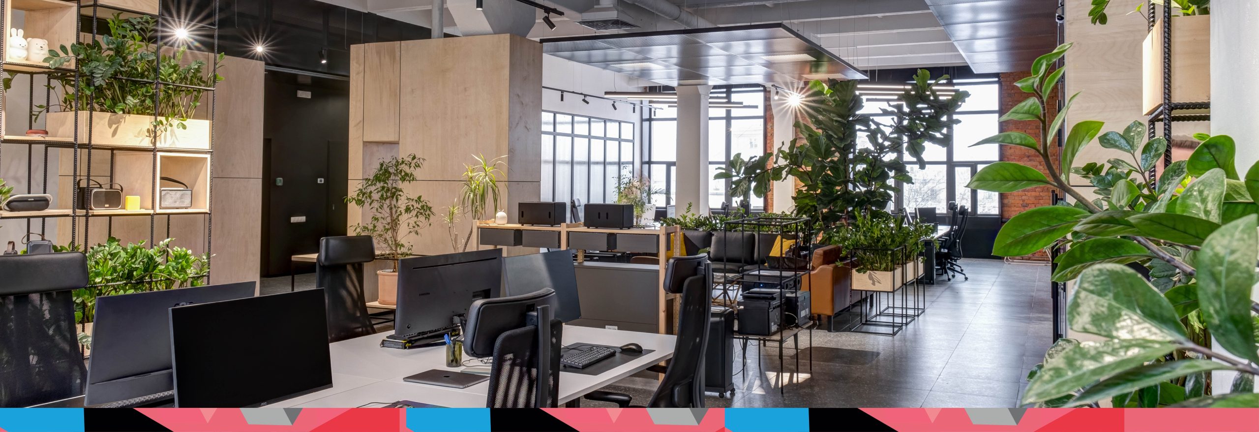 Modern office fit-out with Biophilic design